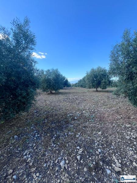 PHOTO-2025-07-09-11-42-40 (9).jpg